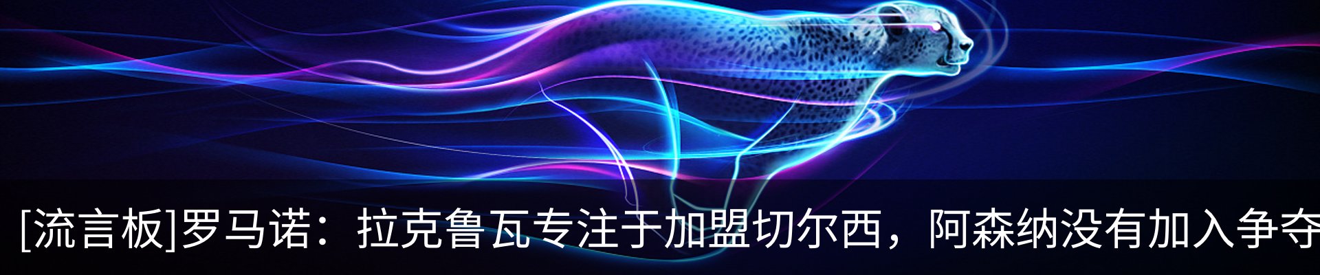 最新动态